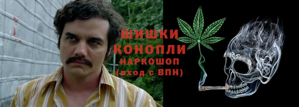 гидра Михайловск