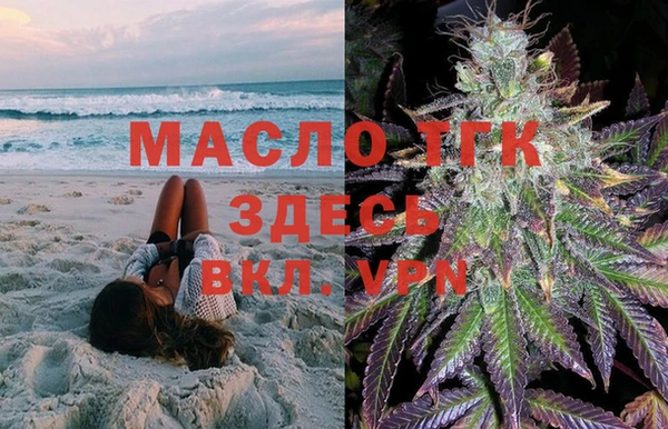 гидра Михайловск