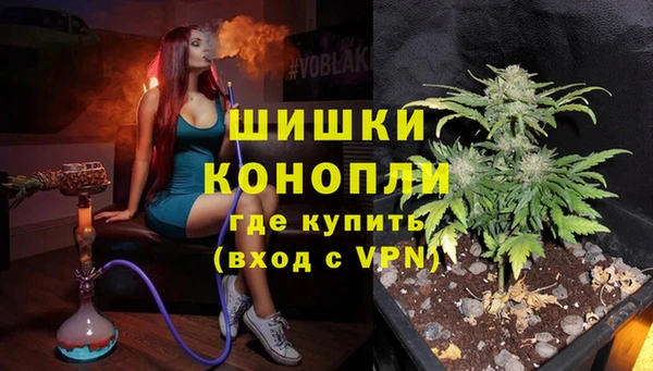 молекула духа Михайлов