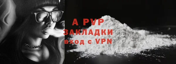молекула духа Михайлов