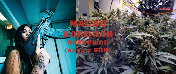 молекула духа Михайлов