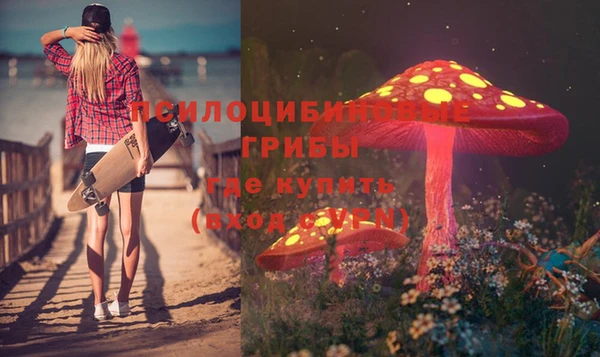 МДМА Михайловка