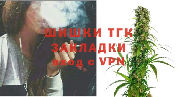 гидра Михайловск