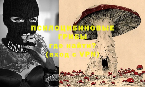 молекула духа Михайлов